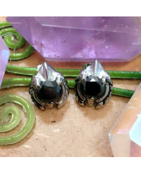 Gothic winged earrings