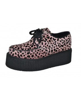 Creepers léopards black and...