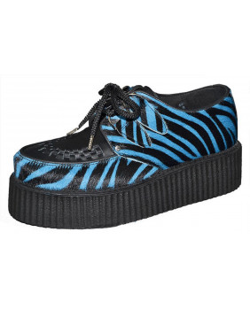 Creepers zébrées blue and...