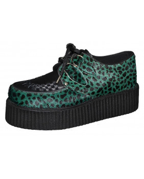 Creepers léopards green and...