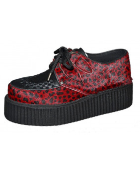 Creepers léopards red and...