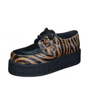 Creepers brown and black de...