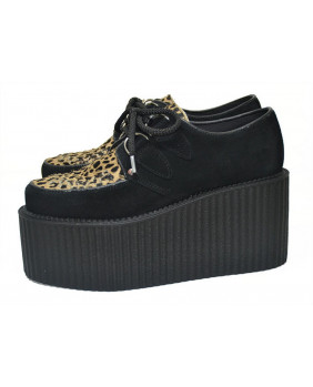 Creepers black and brown de...