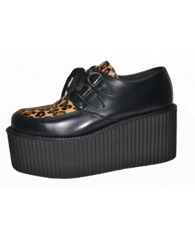 Creepers brown leopard and...