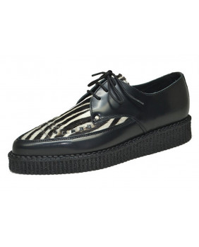 Creepers pointues zébrées...