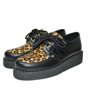 Creepers black and brown de...