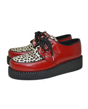 Leopard creepers red and...