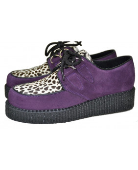 Leopard creepers purple de...