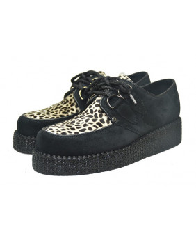 Leopard creepers black and...