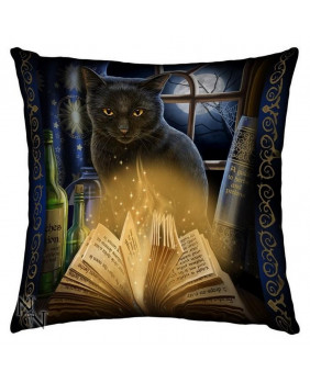 Bewitched mystical cushion