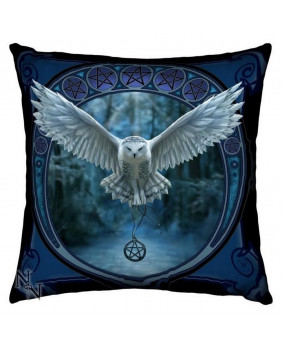 Big mystic cushion Awaken...