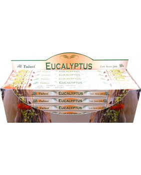 Encens TULASI Eucalyptus