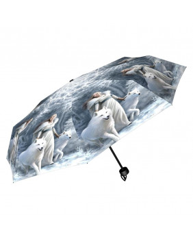 Parapluie gothique fantaisie Winter Guardians
