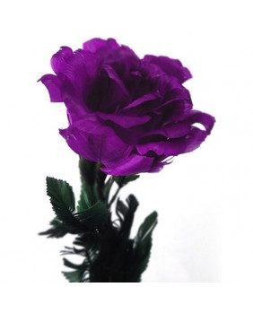 Rosa gótica violeta abierta...